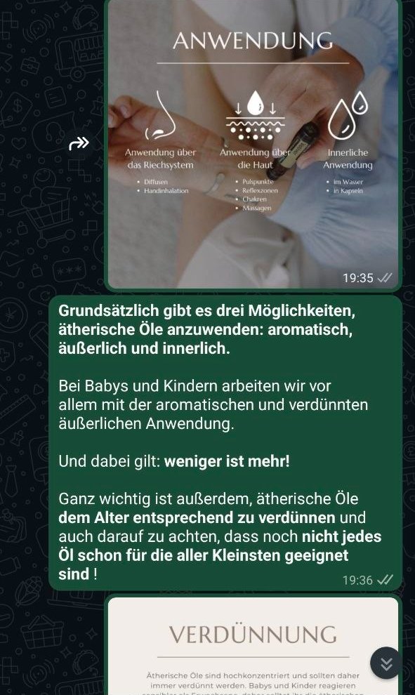 Ausschnitt aus einem WhatsApp-Workshop